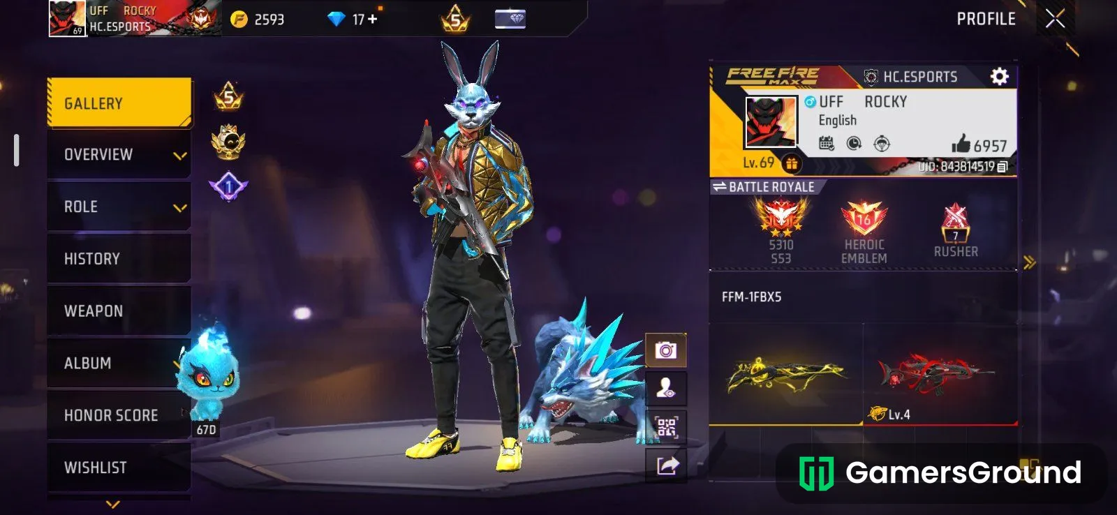 Bunny bundle , and evo gun skins