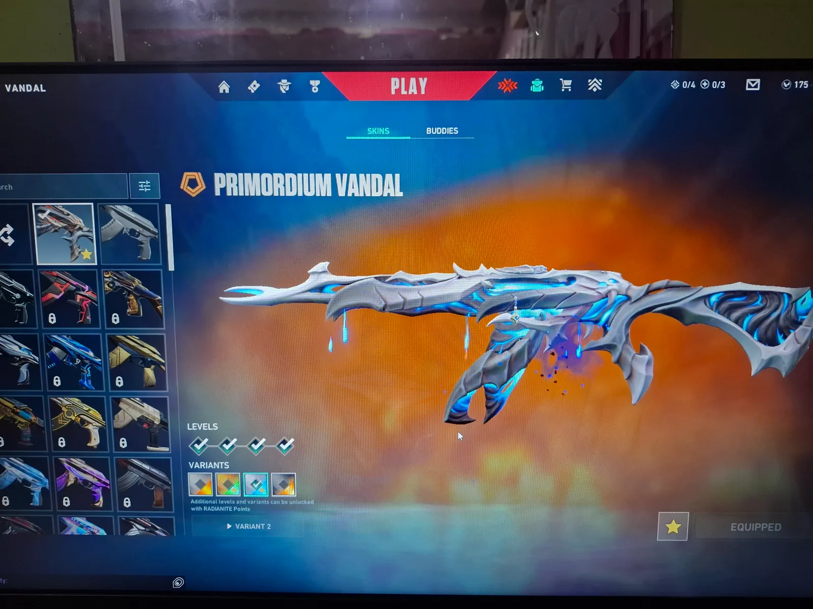 Primordial Vandal nd Singularity PPhantm