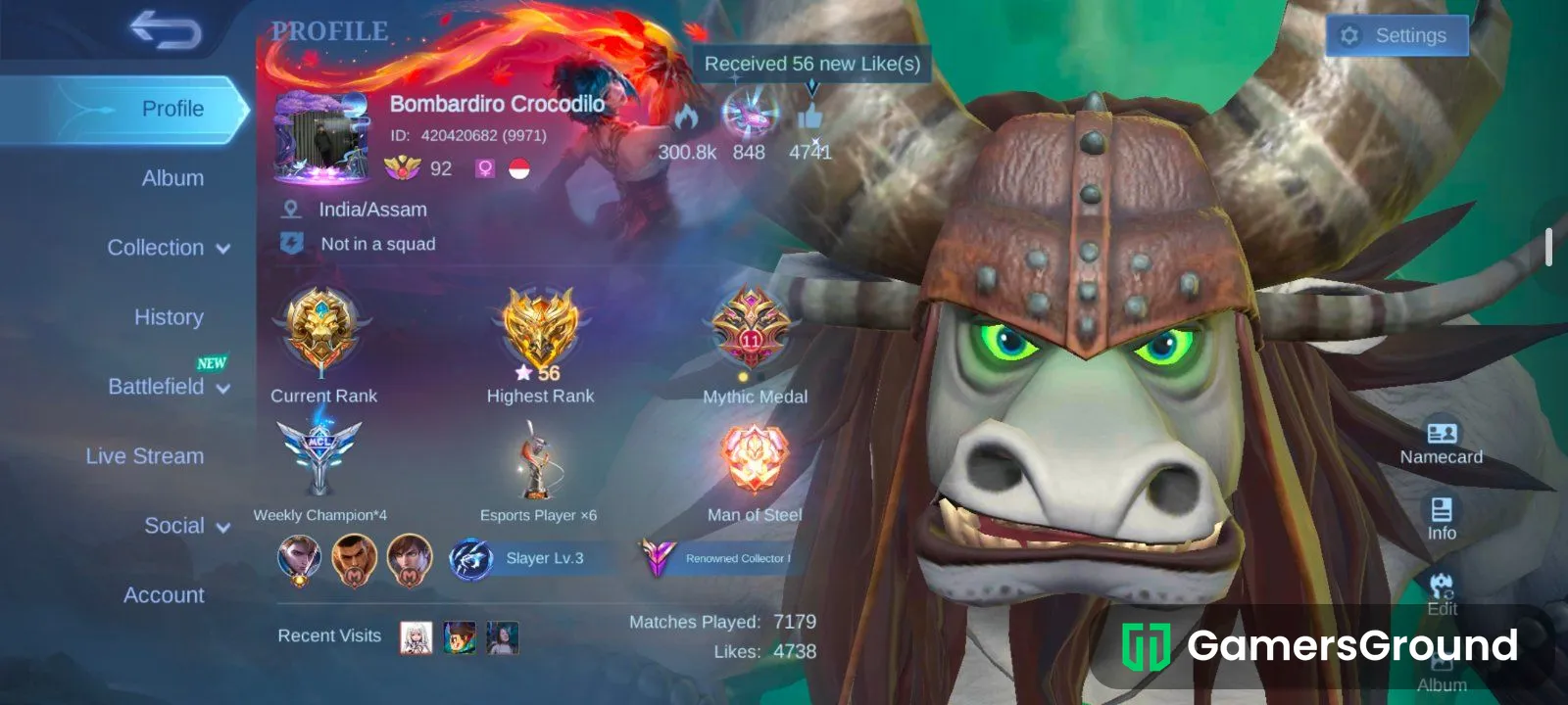 MLBB Account for Sale | 315 Skins | Renowned Collector I | ₹3,000