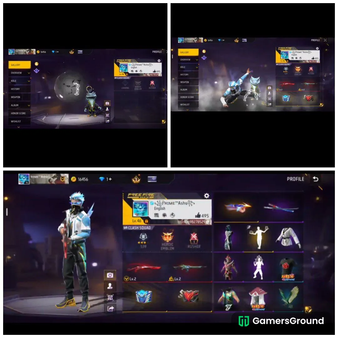 Account with 2 Evo And Many Rare items