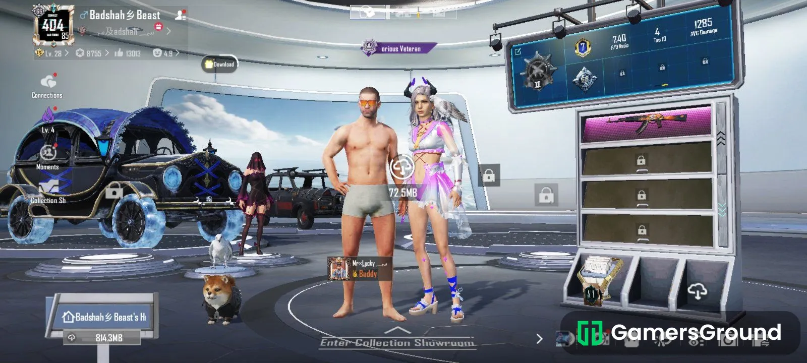86 Level acc with 8 years title & upgradeable skins