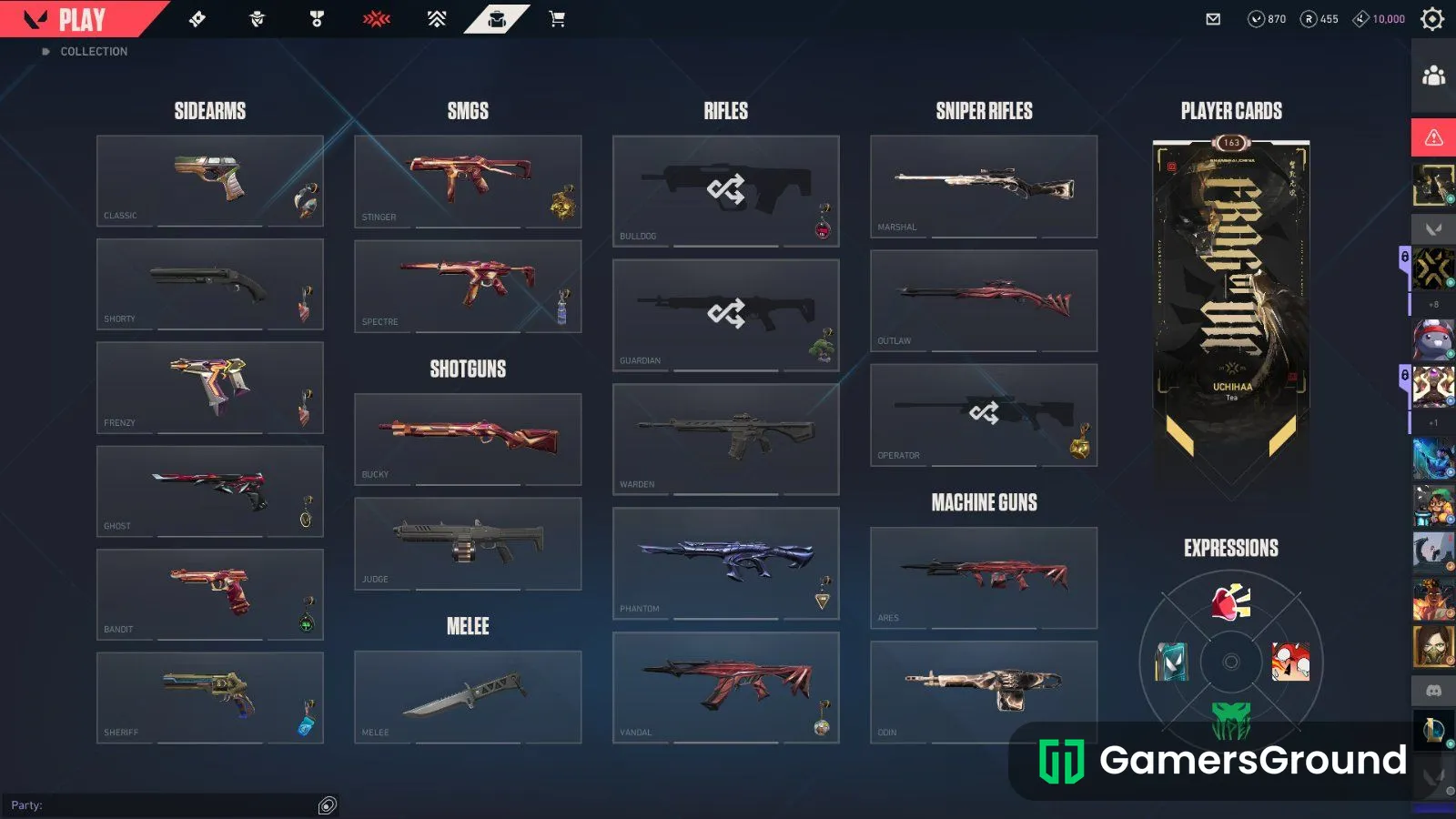 i have 2 premium skin