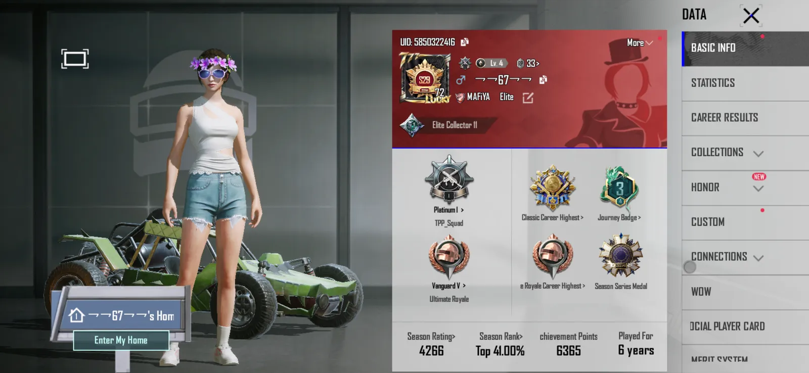 Bgmi id