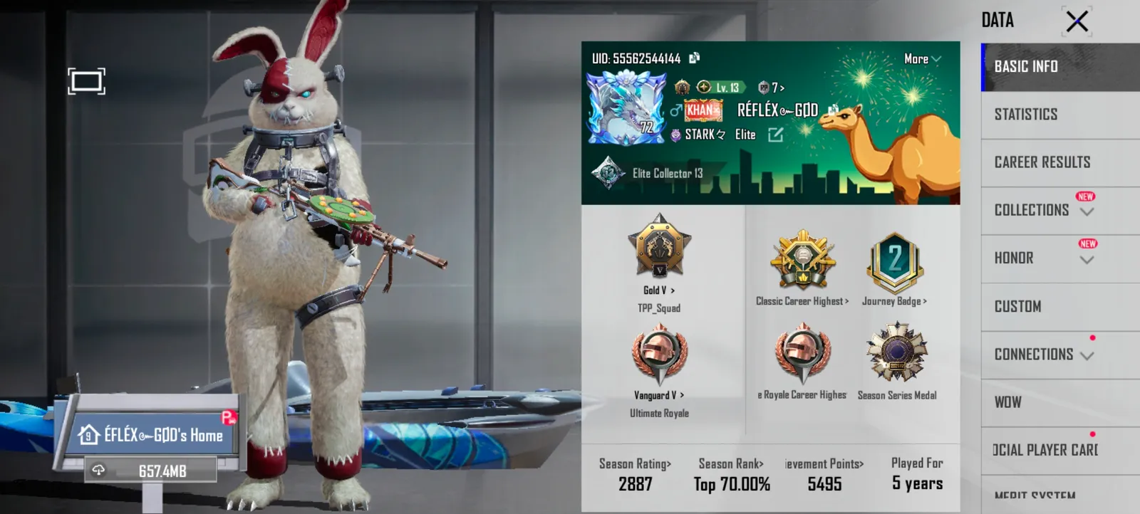 Decent and best account for gaming