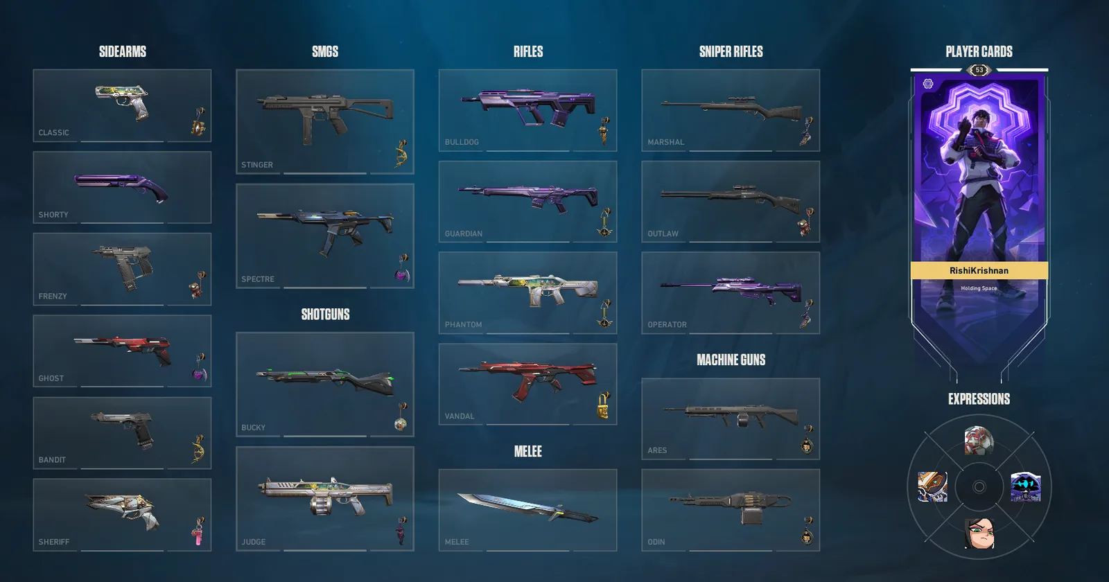 Premium skins at cheap price