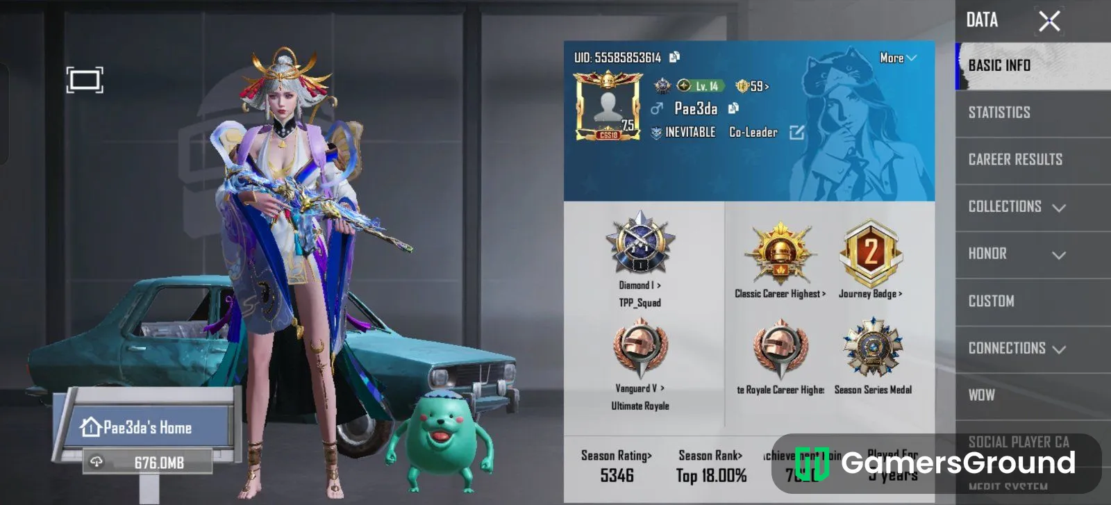 Level 75 , 2 times conqueror account
