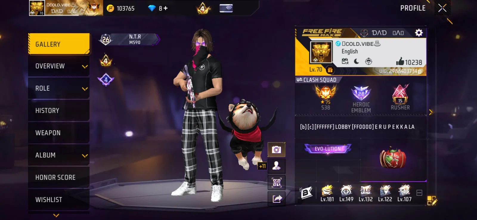 CONQUERER ACCOUNT AND RARE SKINS