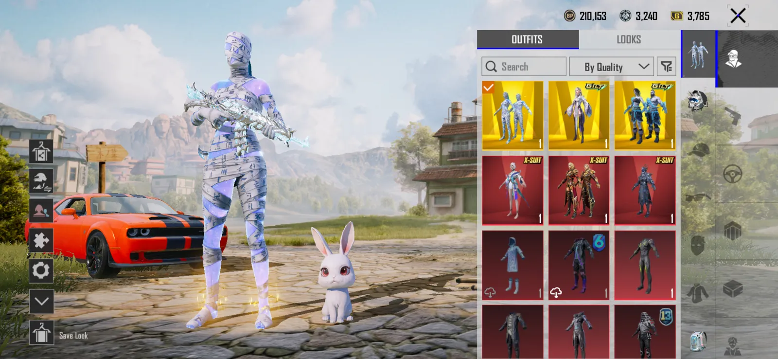 Premium Account With Lots of Stuff