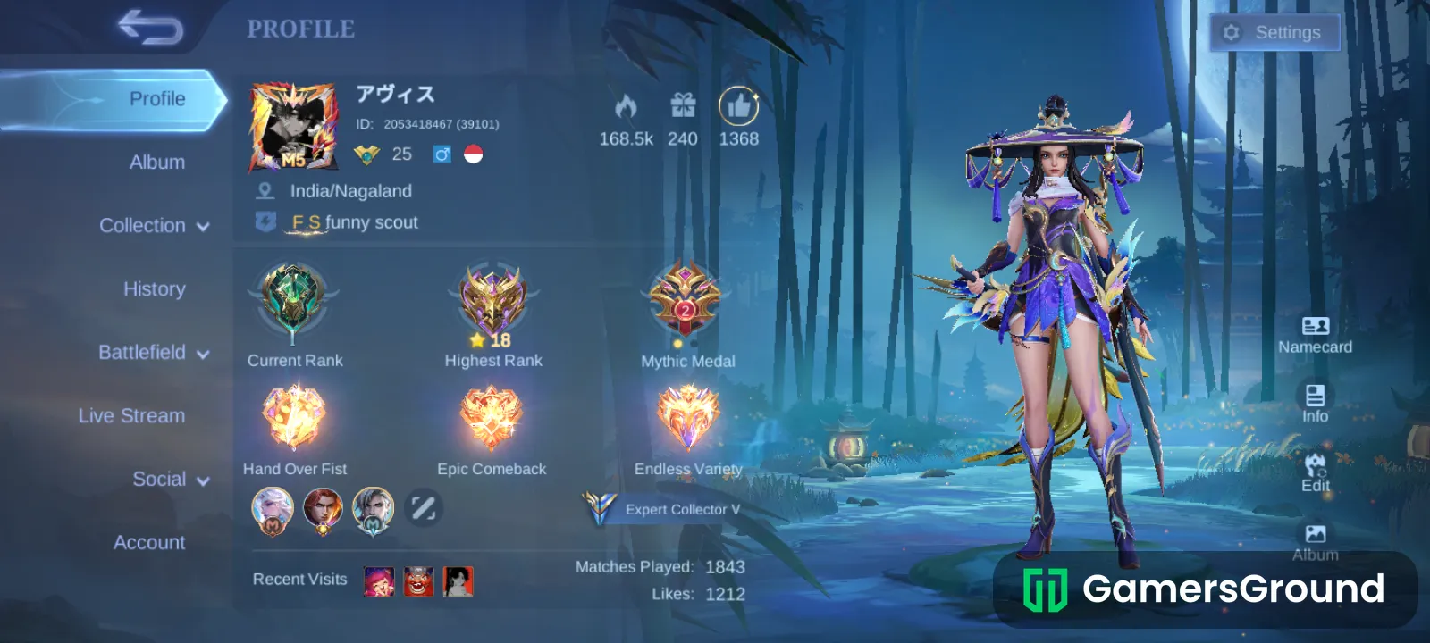 100+ skins and 100+ hero's
