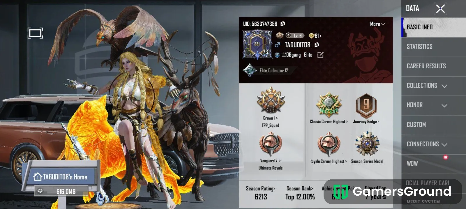 Ace master