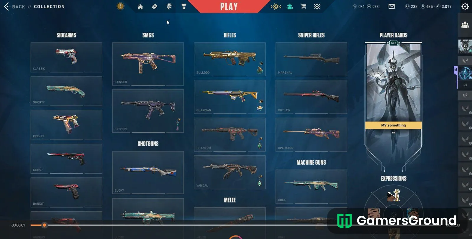Ascendant account with premium skins